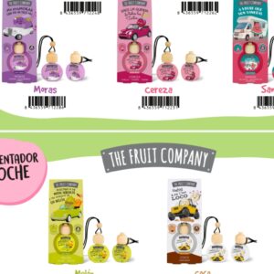 Ambientador de coche